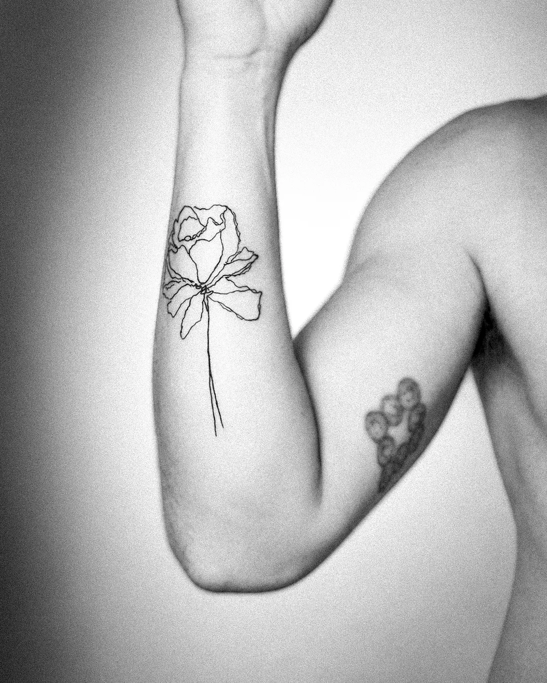 Single-line fine line rose tattoo on the forearm